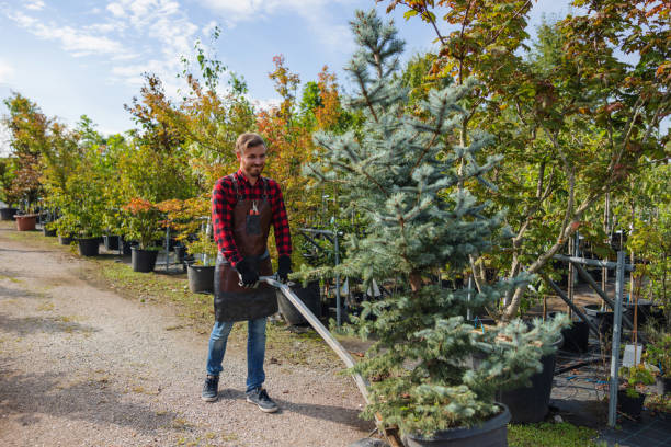 Best Seasonal Cleanup  in Diamond, IL